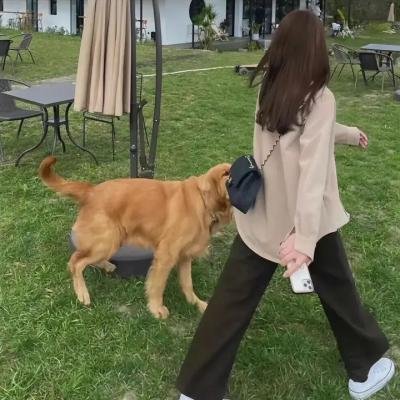 男孩、鼹鼠、狐狸与马